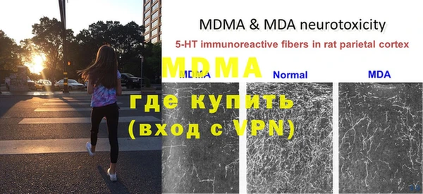 ГАЛЛЮЦИНОГЕННЫЕ ГРИБЫ Балахна